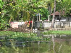 23-House along the backwaters